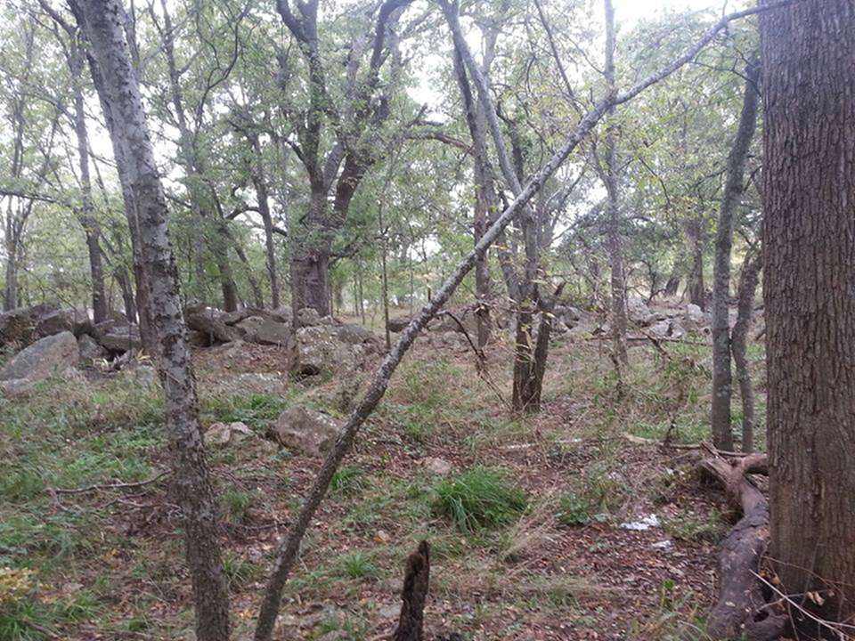 Title: Williamson Creek