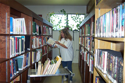 Suana Larson Shelving Books